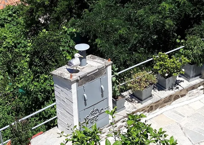 Sky View Apartman *