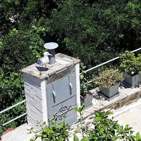 Sky View アパート *